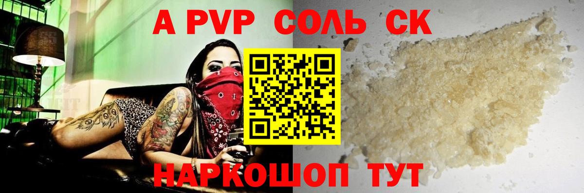 где найти   Альфа ПВП Соль  Салехард  Вход с VPN  APVP СК КРИС 