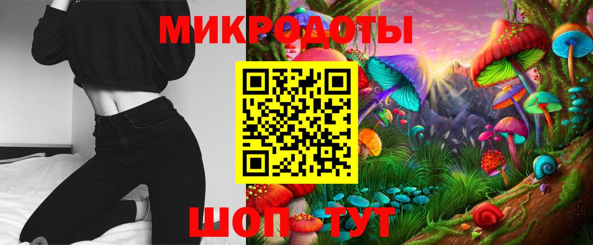 Галлюциногенные грибы Psilocybine cubensis Салехард